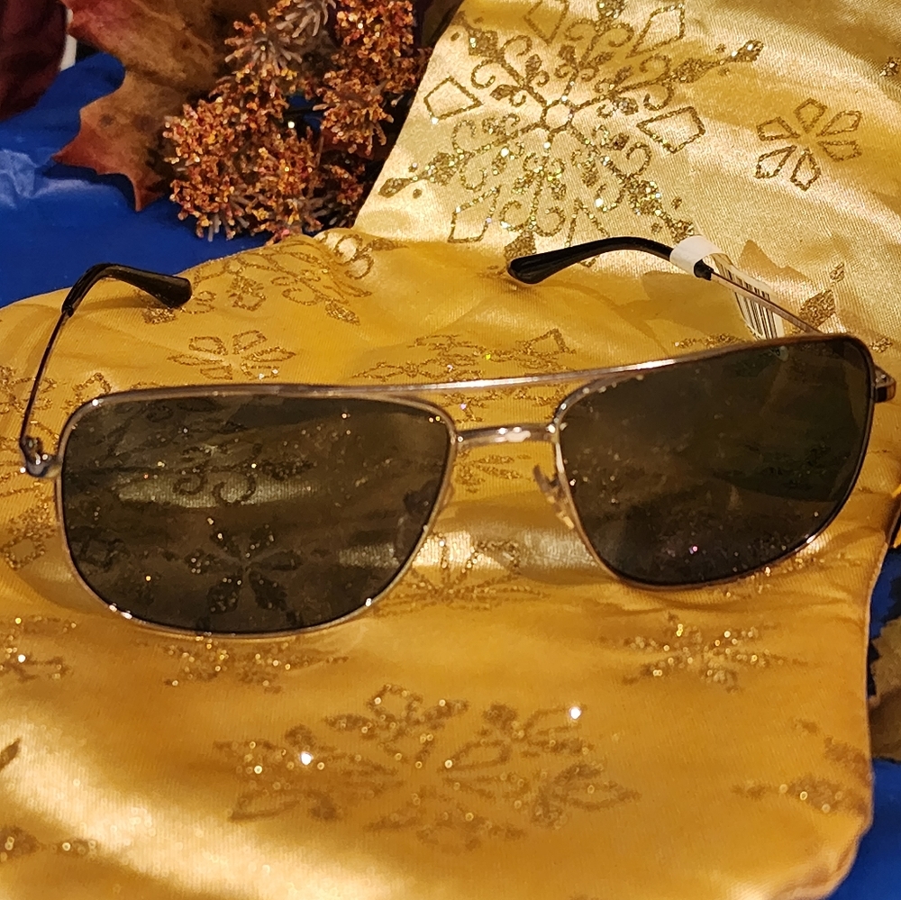 Stylish Sunglass Hut Polarized Lens Sunglass NWT Great last-minute holiday gift.